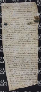9 B.6.IXr, Investitura fatta da Varino vescovo a favore di Domenico Ingegno da Saliceto, Modena, [1009, apr. 6]